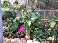 熱川バナナワニ園の写真・動画_image_642913