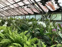 熱川バナナワニ園の写真・動画_image_642915