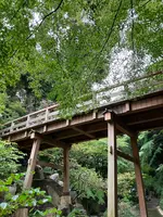 徳川園の写真・動画_image_643032