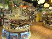 台北市児童新楽園の写真・動画_image_644371