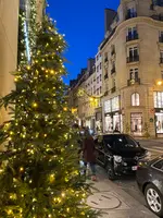 Rue du Faubourg Saint-Honoréの写真・動画_image_644627