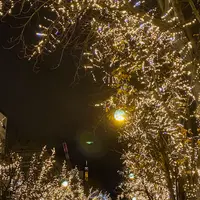 Avenue des Champs-Élyséesの写真・動画_image_644633