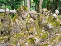 赤山禅院の写真・動画_image_645697