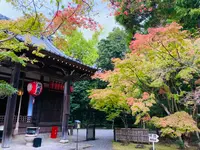 赤山禅院の写真・動画_image_645803