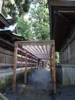 熊野大社の写真・動画_image_646143