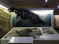 山形県立博物館の写真・動画_image_646792