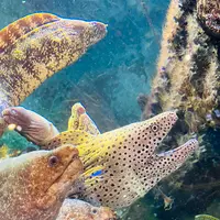 潮岬の写真・動画_image_646861