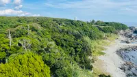 潮岬の写真・動画_image_646866