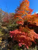 竜頭ノ滝の写真・動画_image_647471