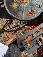 竜頭ノ滝の写真・動画_image_647472