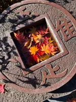 竜頭ノ滝の写真・動画_image_647473