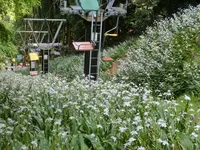 賤ヶ岳隧道の写真・動画_image_64822