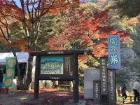 塔のへつりの写真・動画_image_648465