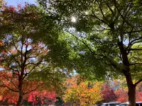 塔のへつりの写真・動画_image_648469