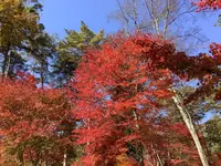 塔のへつりの写真・動画_image_648475