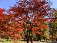 塔のへつりの写真・動画_image_648483