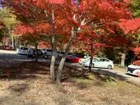 塔のへつりの写真・動画_image_648484