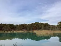 五色沼自然探勝路の写真・動画_image_649028