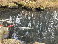 五色沼自然探勝路の写真・動画_image_649030
