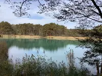 五色沼自然探勝路の写真・動画_image_649032