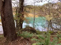 五色沼自然探勝路の写真・動画_image_649034
