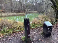 五色沼自然探勝路の写真・動画_image_649036
