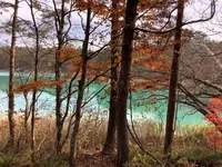 五色沼自然探勝路の写真・動画_image_649037