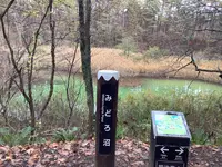 五色沼自然探勝路の写真・動画_image_649040