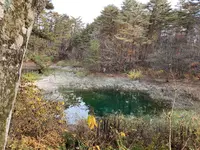 五色沼自然探勝路の写真・動画_image_649042