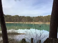五色沼自然探勝路の写真・動画_image_649044