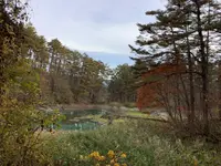 五色沼自然探勝路の写真・動画_image_649047