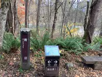 五色沼自然探勝路の写真・動画_image_649048