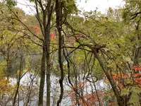 五色沼自然探勝路の写真・動画_image_649049