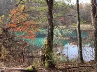 五色沼自然探勝路の写真・動画_image_649052