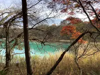 五色沼自然探勝路の写真・動画_image_649055