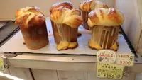 kuma pan bu-beの写真・動画_image_649330