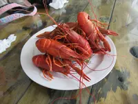 心宿休閒農場の写真・動画_image_649370