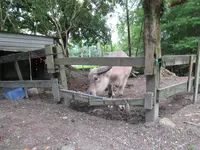 花蓮落羽松森林~鈺展苗圃の写真・動画_image_649418