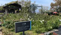 レインボーライン山頂公園の写真・動画_image_652195