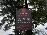 丸岡城の写真・動画_image_652877