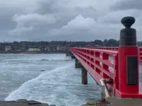 雄島の写真・動画_image_652894