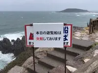 東尋坊の写真・動画_image_652895