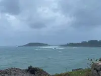 東尋坊の写真・動画_image_652896