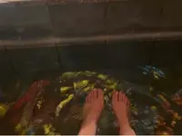 芦湯の写真・動画_image_652922
