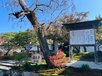 圓光寺の写真・動画_image_654276