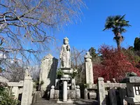 圓光寺の写真・動画_image_654277