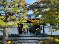 圓光寺の写真・動画_image_654278