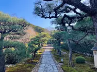 圓光寺の写真・動画_image_654279