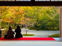 圓光寺の写真・動画_image_654280