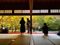 圓光寺の写真・動画_image_654283